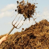 Kako koristiti kravlju balegu kao đubrivo